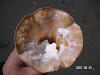 s_PICT0454_thumb.png